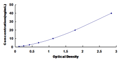 Rat Cathepsin L (CTSL) ELISA Kit  CTSL DL-CTSL-Ra CTSL1 CATL CTS-L MEP Cathepsin L1 Major excreted protein